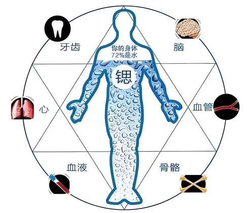 真有意“ 锶”!